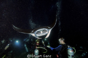 Divers enjoying the night manta dive in Kona Hawaii. by Stuart Ganz 